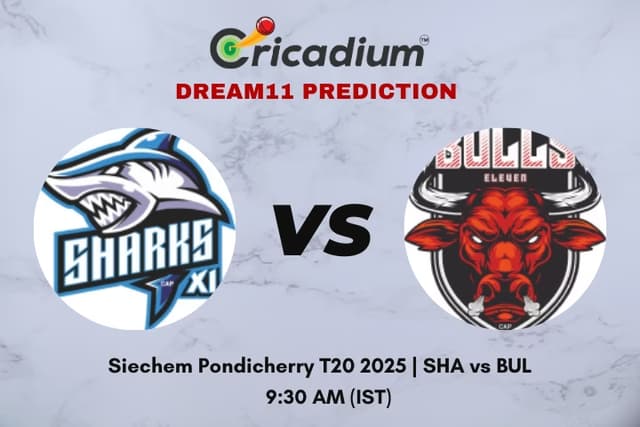 SHA vs BUL Dream11 Prediction Match 5 of Siechem Pondicherry T20 2025