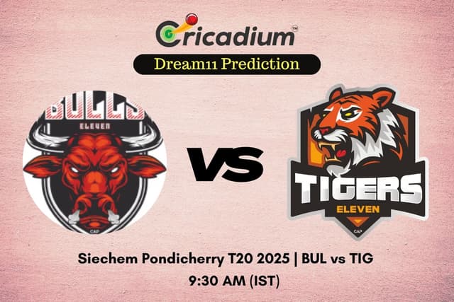 BUL vs TIG Dream11 Prediction Match 15 of Siechem Pondicherry T20 2025