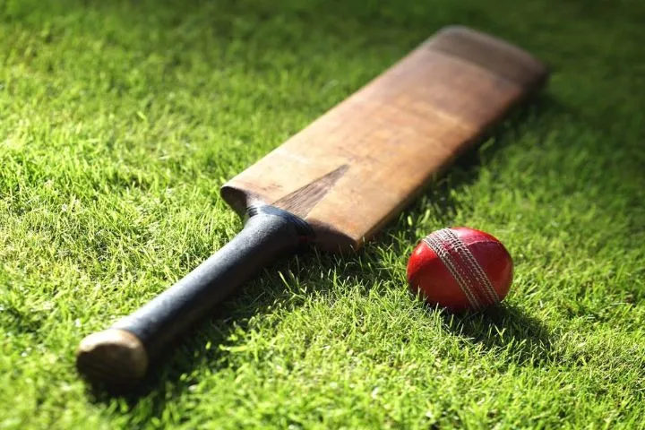 Cricket Bat Size Guidelines What You Need to Know