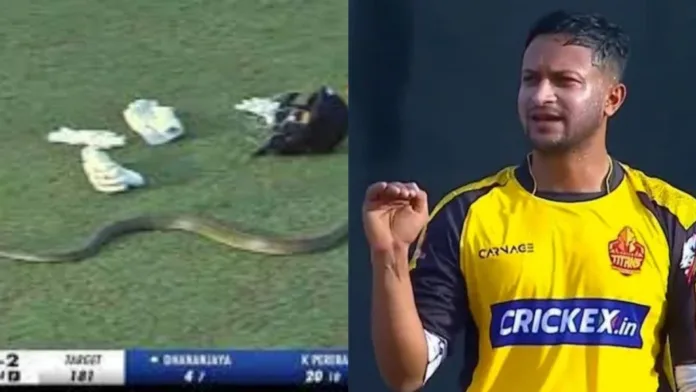 Another Snake Intrusion at Lanka Premier League