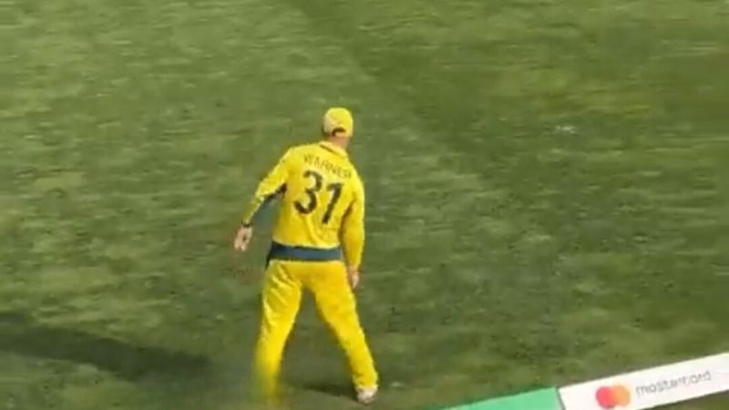 David Warner's 'Pushpa' Dance Goes Viral in AUS vs NZ