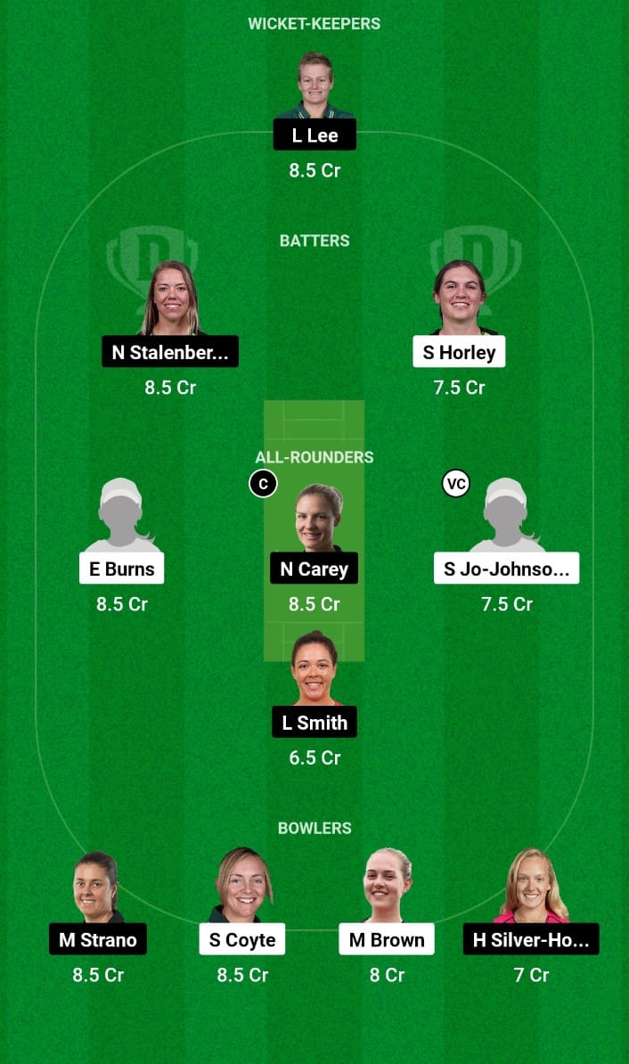 NSWW vs TASW Dream11 Prediction Match 20 Women's National Cricket