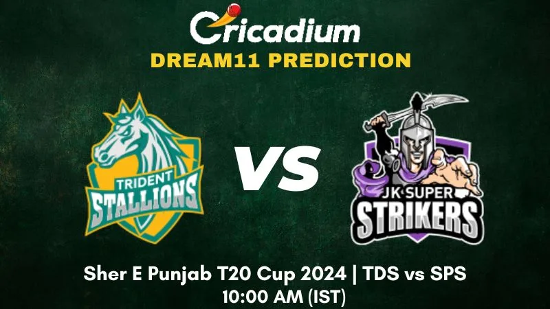 TDS vs SPS Dream11 Prediction Match 5 Sher E Punjab T20 Cup 2024