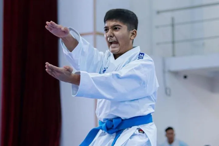 14-Year-Old Karate Prodigy Yug Harsola Shares His Journey