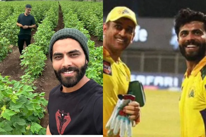 CSK's Edited Dhoni-Jadeja Farm Photo Goes Viral