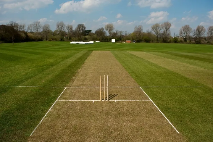 Cricket Pitch Length